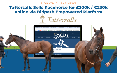 Tattersalls Sells Racehorse for £200k / €230k on Bidpath Platform